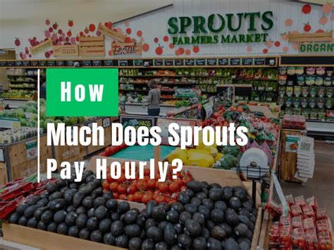 Sprouts pay - The estimated total pay range for a In Store Shopping Clerk at Sprouts Farmers Market is $33K–$43K per year, which includes base salary and additional pay. The average In Store Shopping Clerk base salary at Sprouts Farmers Market is $38K per year. The average additional pay is $0 per year, which could include cash bonus, stock, …